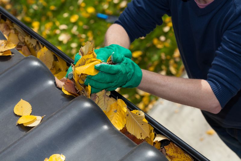 Gutter Maintenance and Inspection