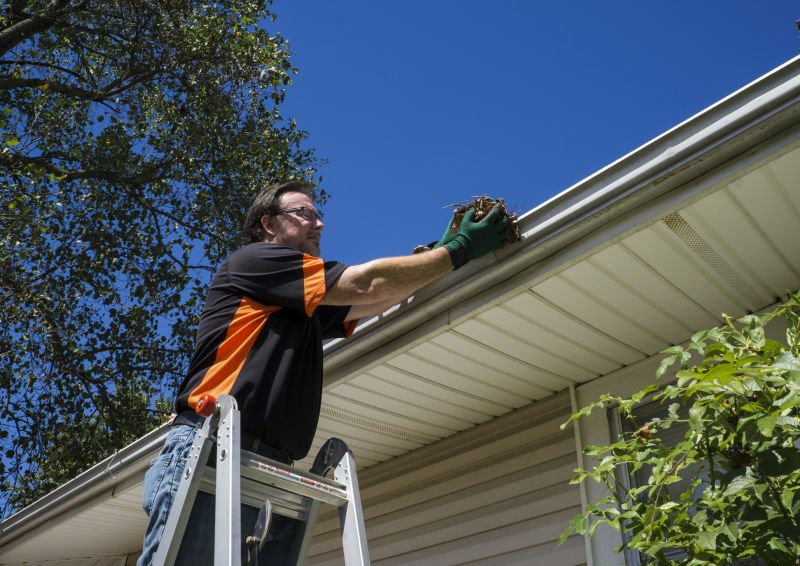 Gutter Service